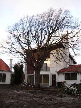 Wilhelminahofje 24-01-2004 (5)