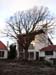 Wilhelminahofje 24-01-2004 (5)